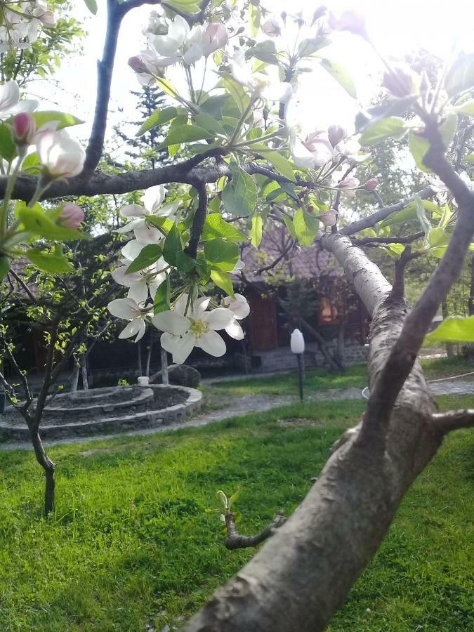 Kish Adasi Şǝki Exterior foto